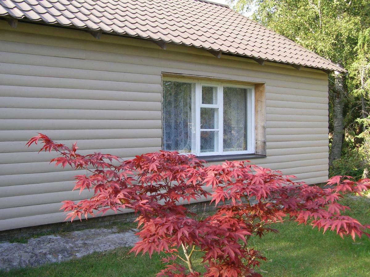 Kipi-Koovi Holiday Centre Esterno foto